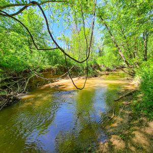 Photo #21 of SOLD property in Off Philpott Road, South Boston, VA 89.0 acres