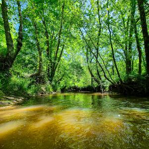Photo #23 of SOLD property in Off Philpott Road, South Boston, VA 89.0 acres