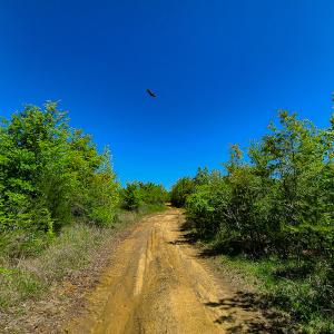Photo #24 of SOLD property in Off Philpott Road, South Boston, VA 89.0 acres