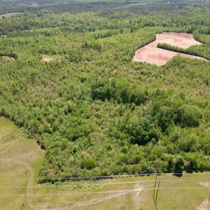 Photo #27 of SOLD property in Off Philpott Road, South Boston, VA 89.0 acres