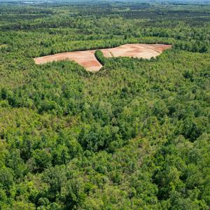 Photo #29 of SOLD property in Off Philpott Road, South Boston, VA 89.0 acres