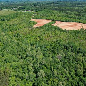 Photo #30 of SOLD property in Off Philpott Road, South Boston, VA 89.0 acres