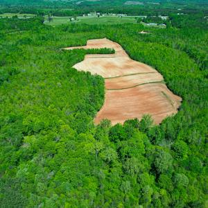 Photo #31 of SOLD property in Off Philpott Road, South Boston, VA 89.0 acres