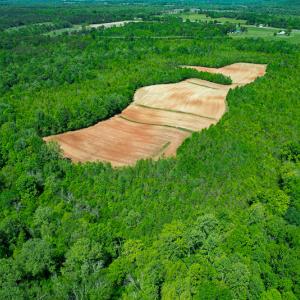 Photo #32 of SOLD property in Off Philpott Road, South Boston, VA 89.0 acres