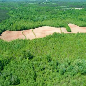 Photo #33 of SOLD property in Off Philpott Road, South Boston, VA 89.0 acres