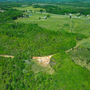 Photo #34 of SOLD property in Off Philpott Road, South Boston, VA 89.0 acres