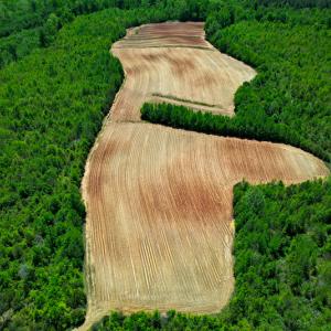Photo #35 of SOLD property in Off Philpott Road, South Boston, VA 89.0 acres
