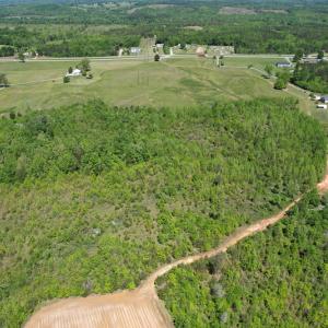 Photo #36 of SOLD property in Off Philpott Road, South Boston, VA 89.0 acres