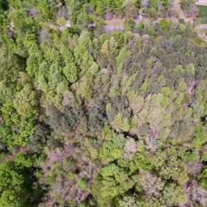 Photo #12 of Off Harbor Drive, Macon, NC 1.0 acres