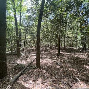 Photo #10 of Off Hideway Cove Road, Exmore, VA 1.4 acres
