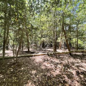 Photo #11 of Off Hideway Cove Road, Exmore, VA 1.4 acres