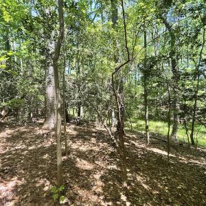 Photo #12 of Off Hideway Cove Road, Exmore, VA 1.4 acres