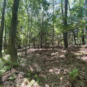Photo #13 of Off Hideway Cove Road, Exmore, VA 1.4 acres