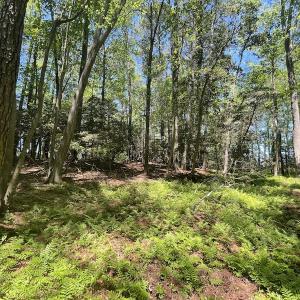 Photo #14 of Off Hideway Cove Road, Exmore, VA 1.4 acres