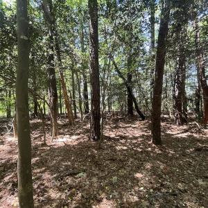 Photo #15 of Off Hideway Cove Road, Exmore, VA 1.4 acres