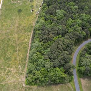 Photo #3 of Off Hideway Cove Road, Exmore, VA 1.4 acres