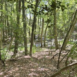 Photo #9 of Off Hideway Cove Road, Exmore, VA 1.4 acres
