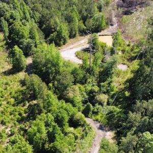 Photo #32 of Off Gurley Road, Marion, SC 134.7 acres