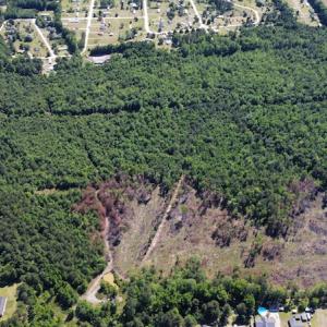 Photo #33 of Off Gurley Road, Marion, SC 134.7 acres