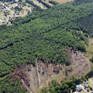 Photo #34 of Off Gurley Road, Marion, SC 134.7 acres