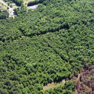 Photo #36 of Off Gurley Road, Marion, SC 134.7 acres