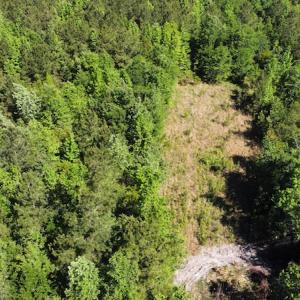 Photo #38 of Off Gurley Road, Marion, SC 134.7 acres