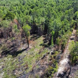 Photo #40 of Off Gurley Road, Marion, SC 134.7 acres