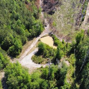 Photo #42 of Off Gurley Road, Marion, SC 134.7 acres