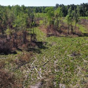 Photo #45 of Off Gurley Road, Marion, SC 134.7 acres