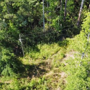 Photo #46 of Off Gurley Road, Marion, SC 134.7 acres