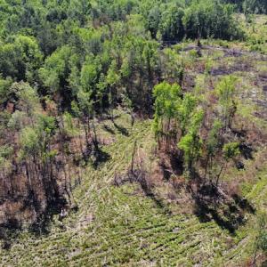 Photo #47 of Off Gurley Road, Marion, SC 134.7 acres