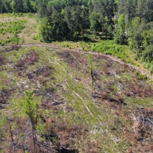 Photo #48 of Off Gurley Road, Marion, SC 134.7 acres