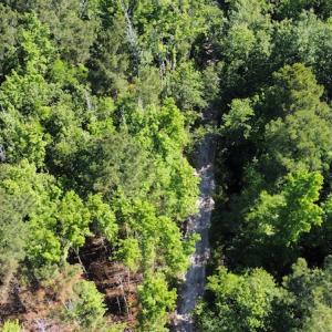 Photo #49 of Off Gurley Road, Marion, SC 134.7 acres