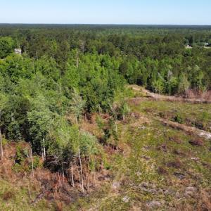 Photo #50 of Off Gurley Road, Marion, SC 134.7 acres