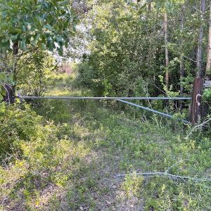 Photo #2 of Off Gurley Road, Marion, SC 134.7 acres