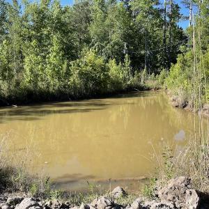 Photo #5 of Off Gurley Road, Marion, SC 134.7 acres