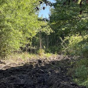 Photo #19 of Off Gurley Road, Marion, SC 134.7 acres