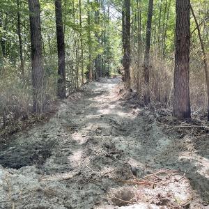 Photo #22 of Off Gurley Road, Marion, SC 134.7 acres
