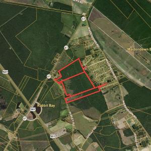 Photo #1 of Off Gurley Road, Marion, SC 134.7 acres
