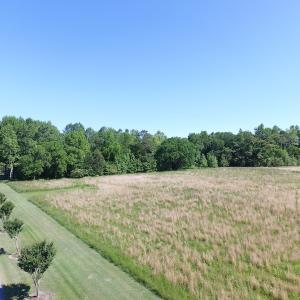 Photo #2 of SOLD property in Off Crittenden Road, Suffolk, VA 6.8 acres