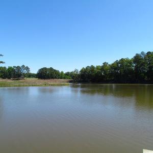 Photo #12 of SOLD property in Off Crittenden Road, Suffolk, VA 6.8 acres