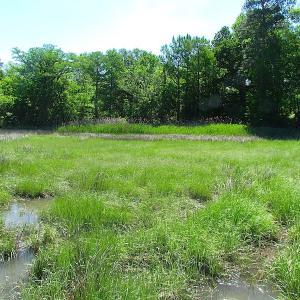 Photo #16 of SOLD property in Off Crittenden Road, Suffolk, VA 6.8 acres