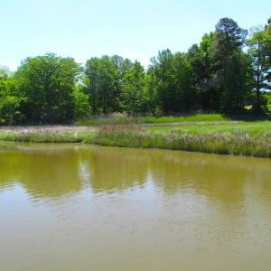 Photo #17 of SOLD property in Off Crittenden Road, Suffolk, VA 6.8 acres