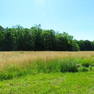 Photo #21 of SOLD property in Off Crittenden Road, Suffolk, VA 6.8 acres