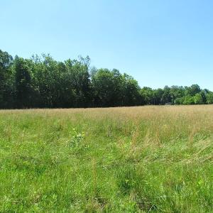 Photo #24 of SOLD property in Off Crittenden Road, Suffolk, VA 6.8 acres
