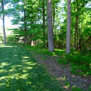 Photo #25 of SOLD property in Off Crittenden Road, Suffolk, VA 6.8 acres