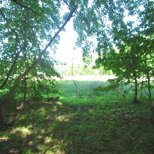 Photo #29 of SOLD property in Off Crittenden Road, Suffolk, VA 6.8 acres
