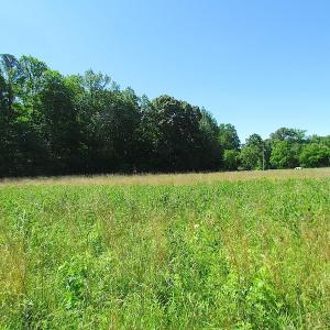 Photo #30 of SOLD property in Off Crittenden Road, Suffolk, VA 6.8 acres