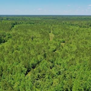 Photo #2 of SOLD property in Off Minor Run Road, Blounts Creek, NC 48.0 acres