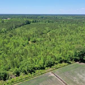 Photo #3 of SOLD property in Off Minor Run Road, Blounts Creek, NC 48.0 acres